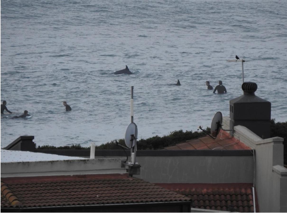 Surfstar At Mimosa Jeffreys Bay Apartment Exterior photo