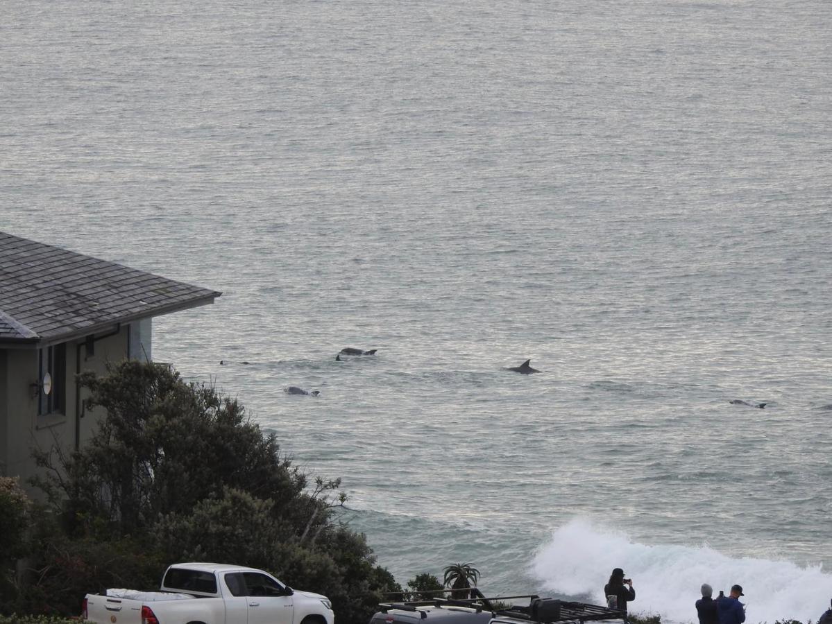 Surfstar At Mimosa Jeffreys Bay Apartment Exterior photo