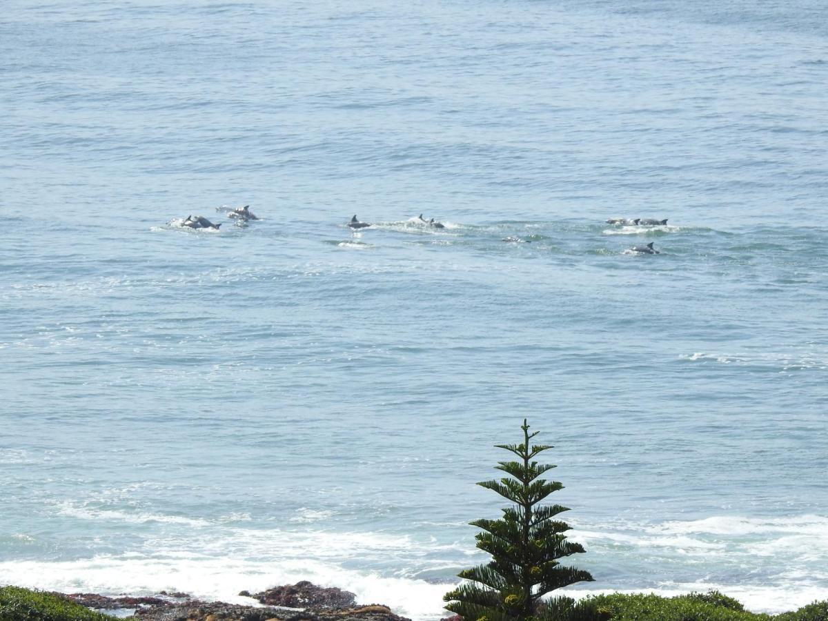 Surfstar At Mimosa Jeffreys Bay Apartment Exterior photo