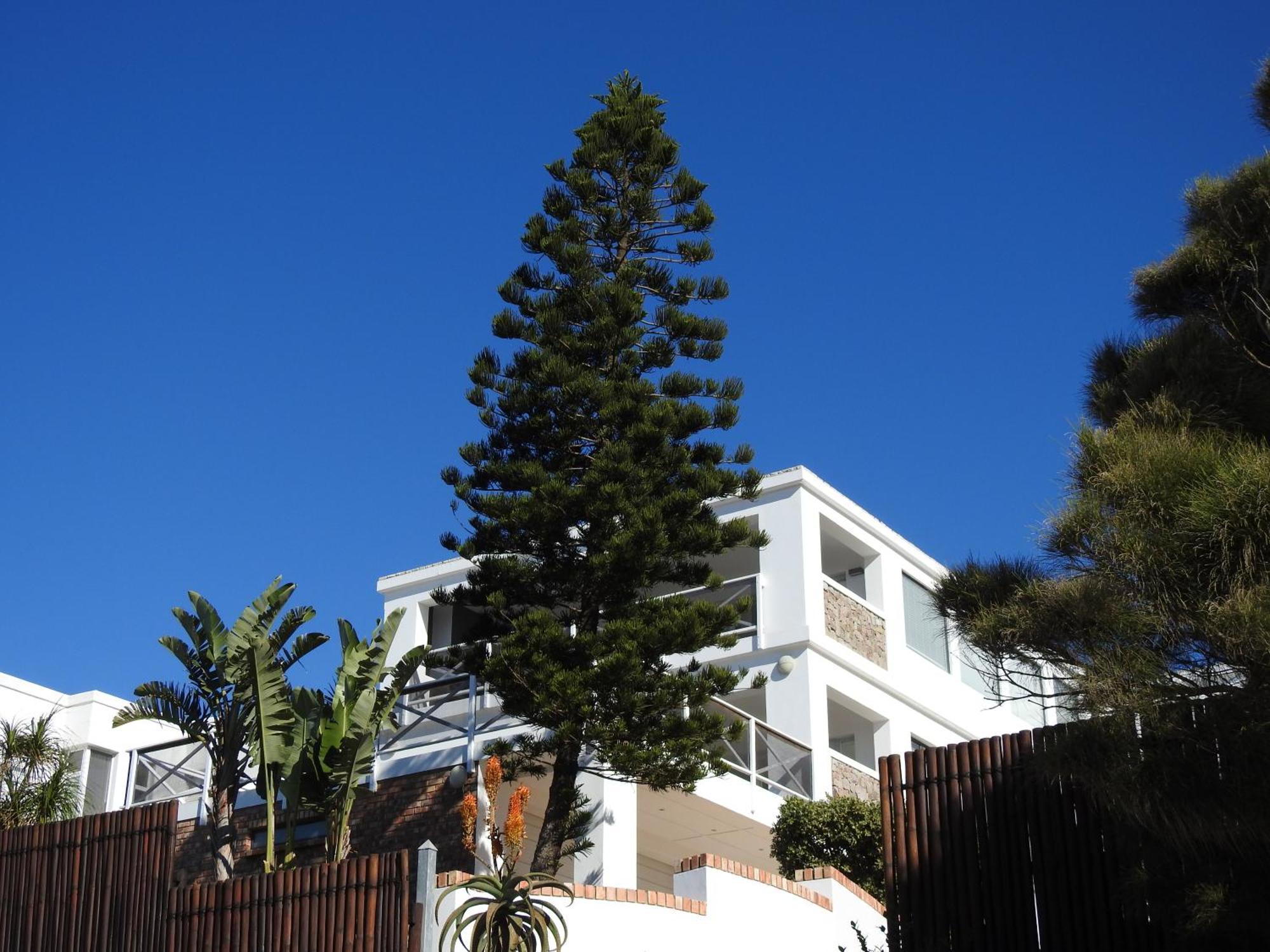 Surfstar At Mimosa Jeffreys Bay Apartment Exterior photo